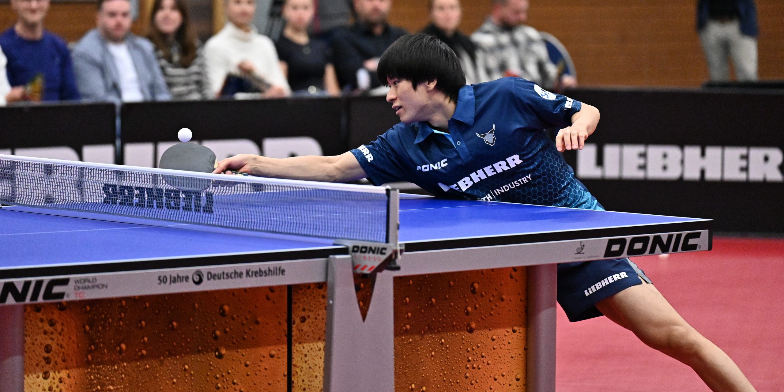 Baden-Württemberg-Duell zum Abschluss: TTF wollen Jahr positiv beenden