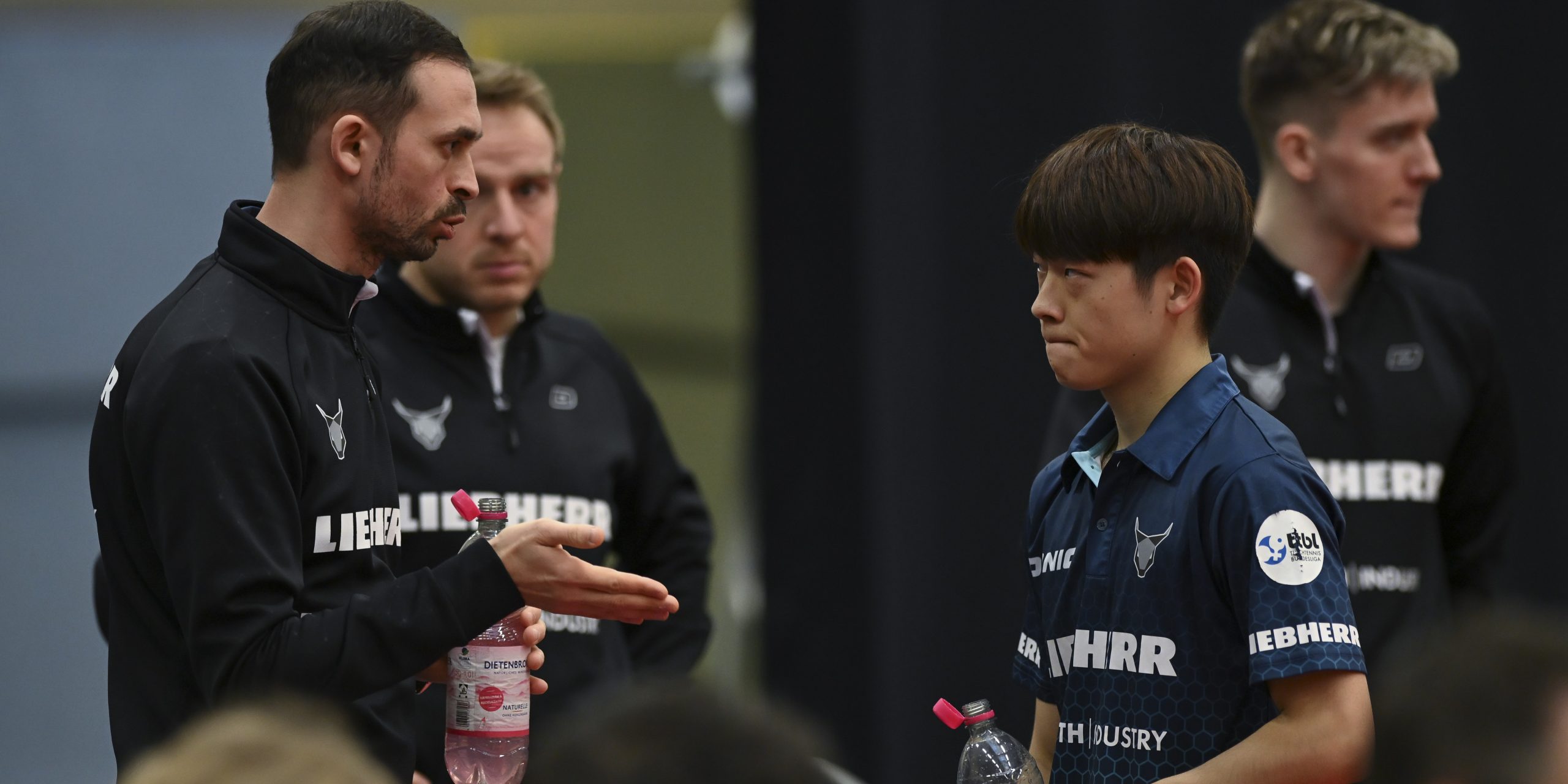 Gebrauchter Mittag für die TTF