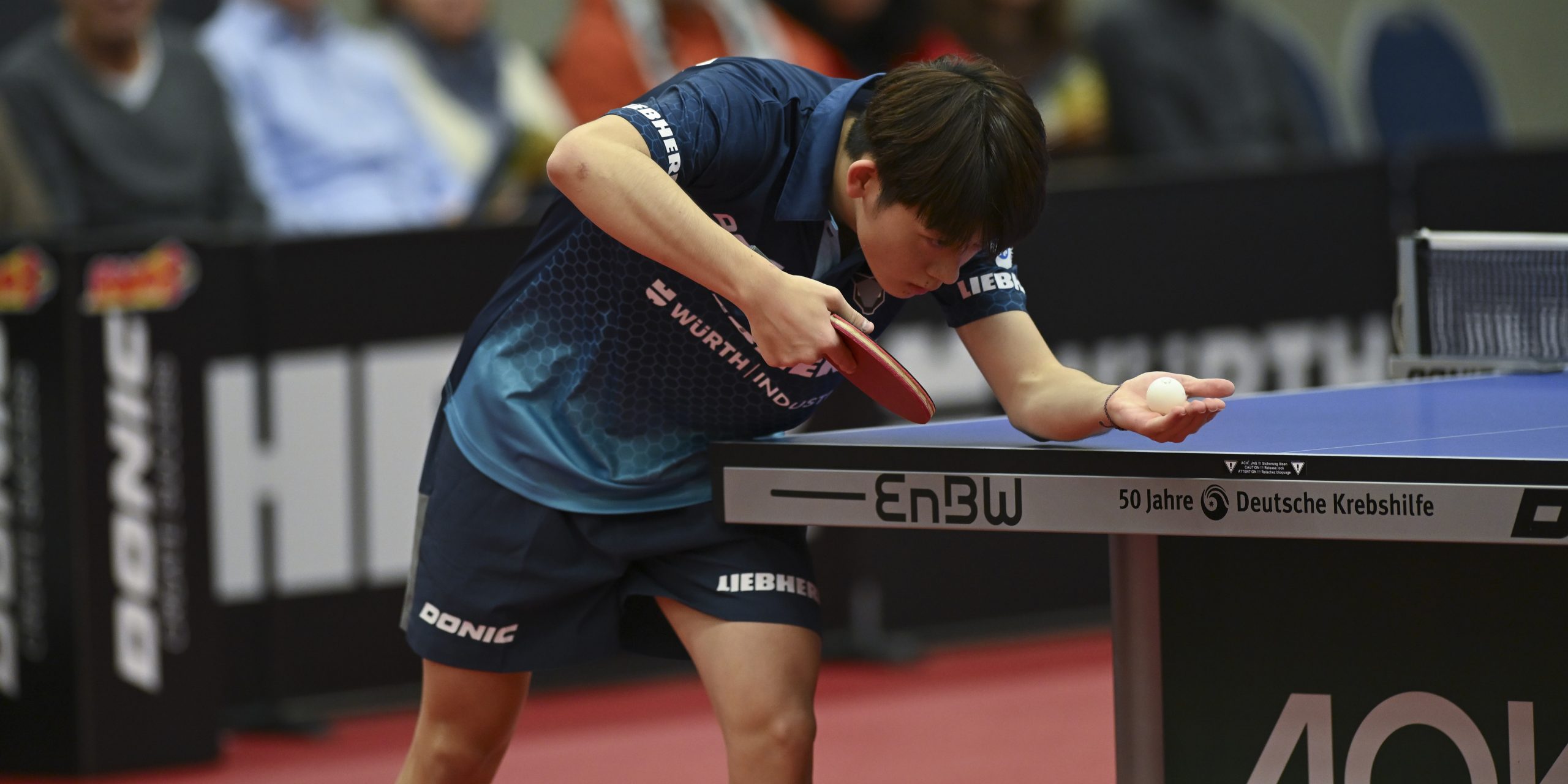 Nach internationaler Pause: TTF empfangen Fulda in heimischer Halle